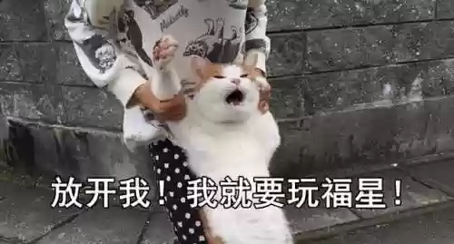铲子阵容福星(金铲铲老鼠主c阵容最新)插图6