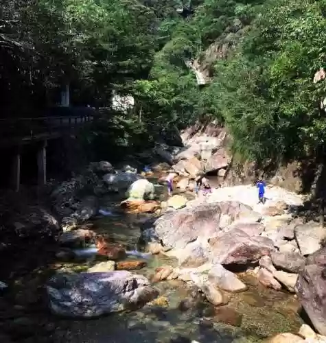 浙江之声阵容(浙江选科最佳组合)插图12 浙江之声阵容(浙江选科最佳组合)插图12
