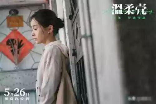 温柔壳阵容(云顶之弈努努阵容搭配)