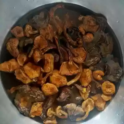 野蘑菇阵容(可以吃的野蘑菇)插图4 野蘑菇阵容(可以吃的野蘑菇)插图4