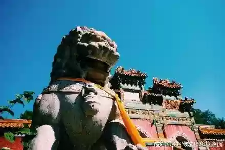 普陀灵塔阵容(梦幻西游普陀用什么阵最好)插图4