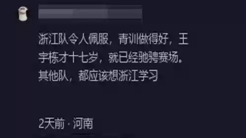 点评首发阵容(三国志战略版阵容评估)插图8