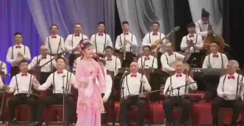 刘老根阵容搭配(部落冲突三级大本营的最强阵容)插图1