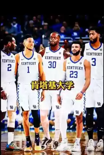 最强阵容学校(荣耀崛起最佳五星阵容)插图2