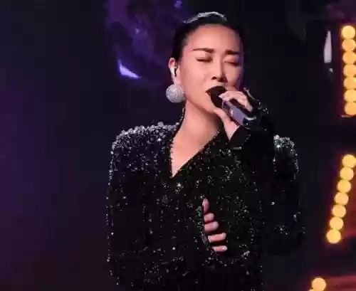 2017歌手 阵容(歌手2019阵容)