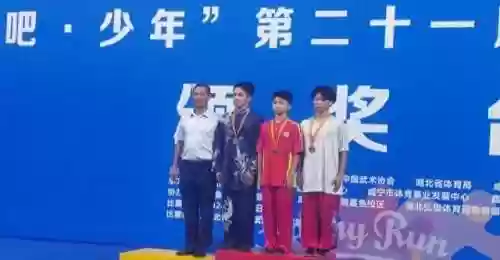 武术冠军阵容(全民武馆阵容绝学搭配)