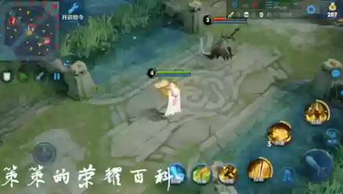 张良突进阵容(王者荣耀对方突进多拿什么双排阵容)插图8