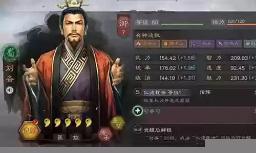 刘备入川的阵容怎么搭配