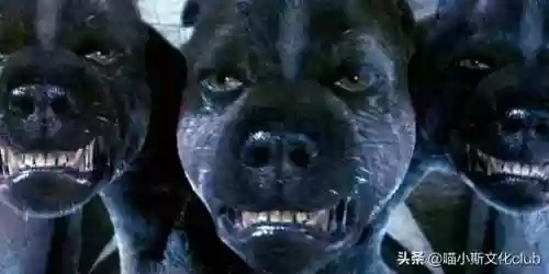 哈利禁地阵容(哈利波特魔法觉醒最强卡牌组合)插图5