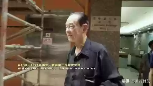 成龙武师阵容(成龙真的会武功吗)插图43