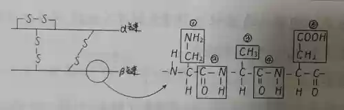 欧米茄原子阵容(欧米茄星座是什么机芯)插图4