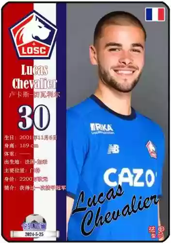 里尔阵容500(里尔足球队)插图12