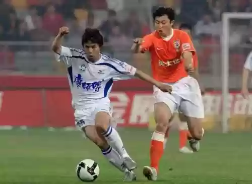 泰达2009阵容(历届天津泰达球员名单)插图8