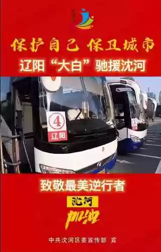 沈阳核酸阵容(沈阳hiv核酸检测)插图6