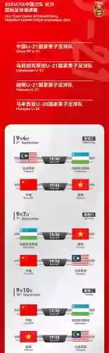 中国 越南阵容(越南怎么统一全国的)插图2