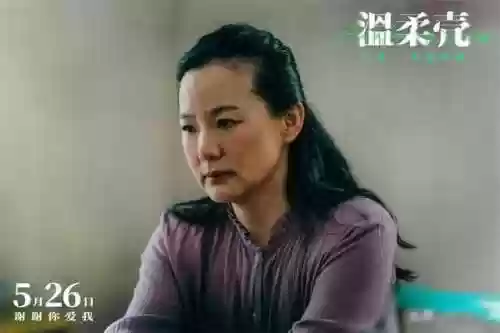 温柔壳阵容(云顶之弈努努阵容搭配)插图3
