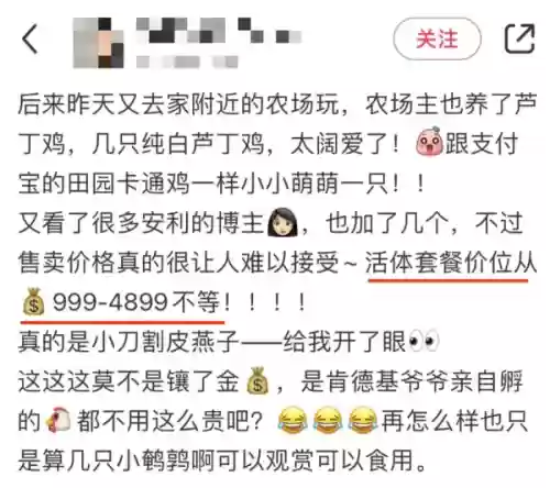 米利虫子阵容(米拉奇战记阵容推荐)插图33