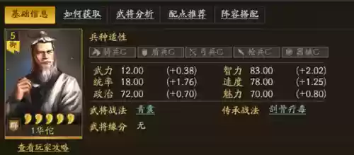 主将华佗阵容(华佗组什么阵容最厉害)插图1