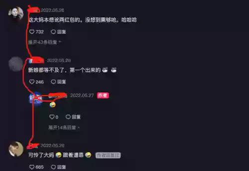 河北接亲阵容(王者荣耀双排阵容)插图4
