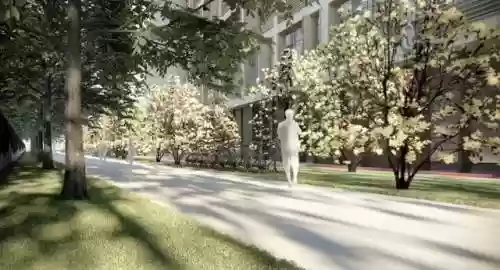 附属美丽阵容(附属美丽那三个是人吗)插图12