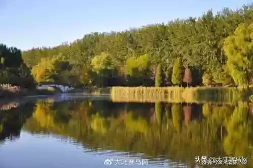 马花桶阵容(四斗士配什么阵容s5)插图4