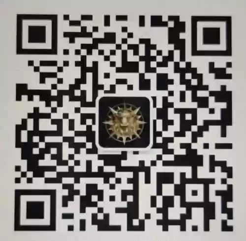 荣耀出征阵容(荣耀出征敢达)插图6