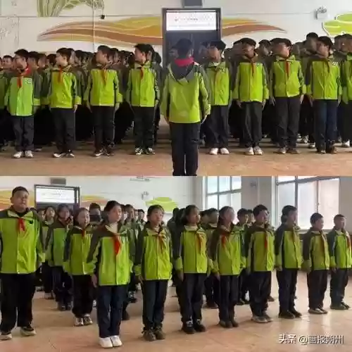 原地立正阵容(航海王启航击倒队阵容怎么搭配)插图5 原地立正阵容(航海王启航击倒队阵容怎么搭配)插图5