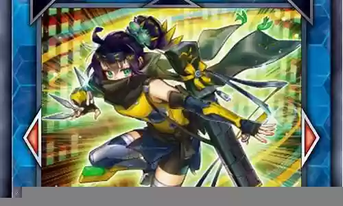SP鸟搭配阵容
