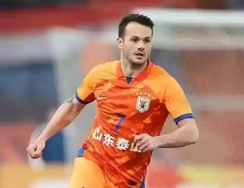 成都堡垒阵容(进击的堡垒阵容怎么搭配)