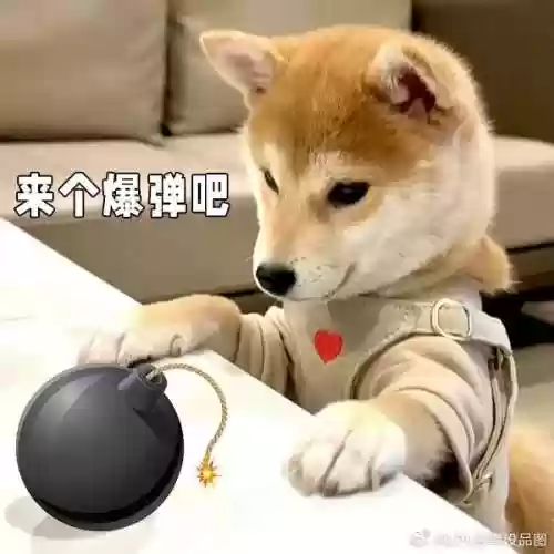 再见夏天阵容(乐队的夏天导师阵容)插图4
