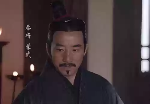 秦朝武装阵容(秦朝兵种)插图6