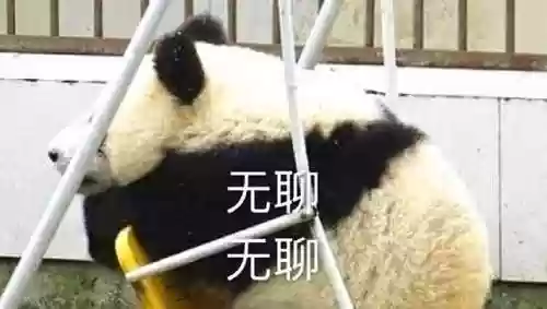 墨凤凰阵容(黑凤凰才不是大墨迹是谁)