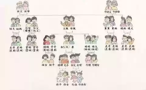 舅妈大舅阵容(我是大东家门客最佳阵容)插图12