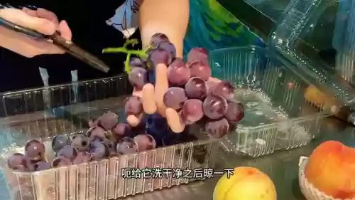 水果五四阵容(植物大战阵容搭配)插图1