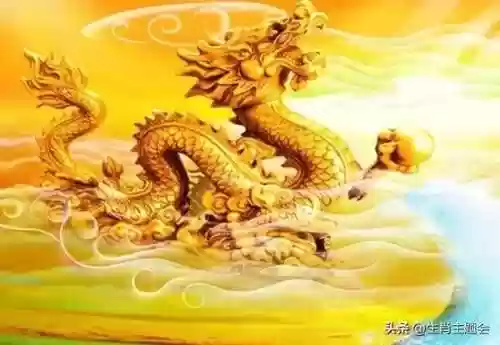 易怒龙阵容(多多自走棋龙法阵容)插图9