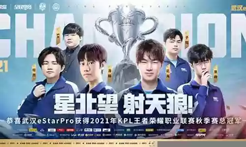 秋季赛2017年阵容搭配