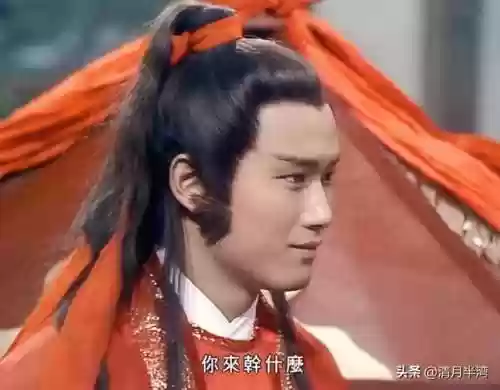 杨康阵容搭配(新射雕群侠传之铁血丹心杨过阵容)插图12