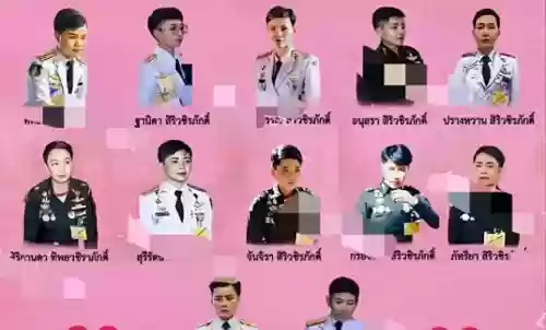 泰国后宫阵容(泰国雌孕激素二合一)