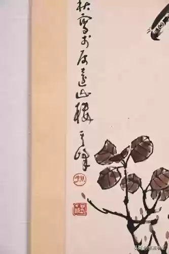 1920老鹰阵容(2017年老鹰队员阵容)插图4