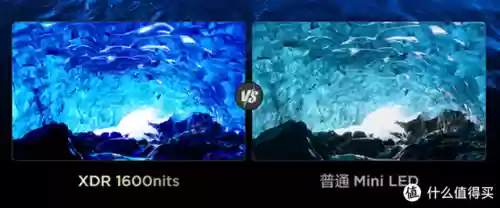 电视主流阵容(电视机第一梯队)插图13