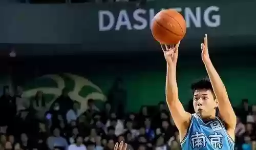 树苗反弹阵容(植物大战阵容搭配)插图13