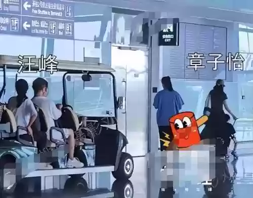 牧童说阵容(黑童子阵容最佳搭配2021)插图19