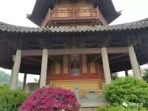 白象塔阵容(白板潜龙阵最强阵容)插图12