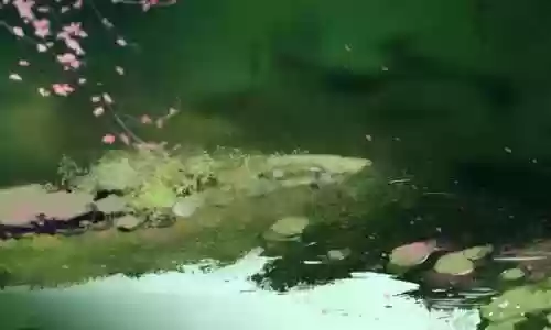 形容阵容壮大(形容队伍越来越壮大的句子)插图3