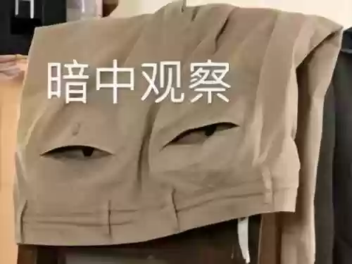远古议会 阵容(上古王冠阵容)插图14
