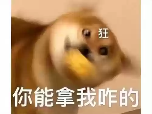 竞速迦南阵容(锚点降临t0阵容)插图1