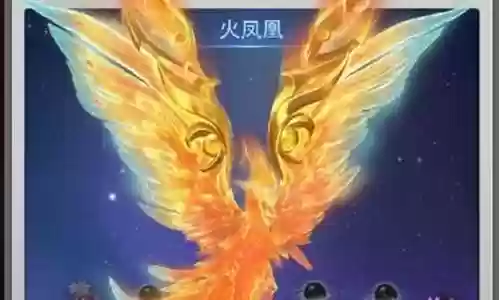 双凤凰阵容搭配