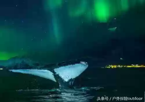 极光激流阵容(灯神挑战阵容推荐最新)插图1 极光激流阵容(灯神挑战阵容推荐最新)插图1