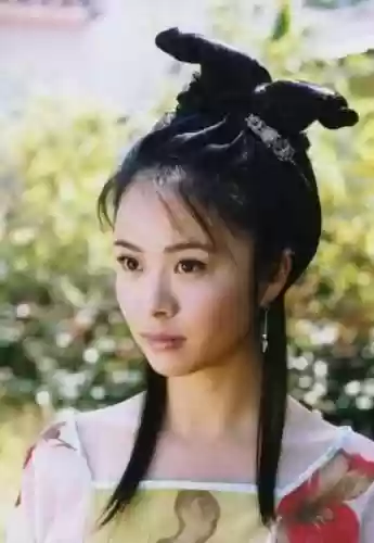 何仙姑阵容(新射雕群侠传最佳五个阵容)插图6