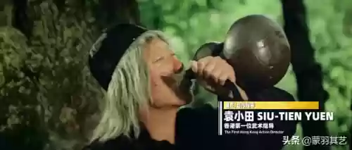 成龙武师阵容(成龙真的会武功吗)插图20